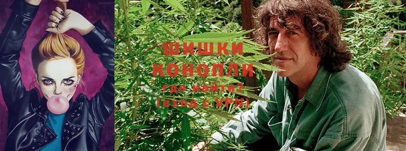 Шишки марихуана Ganja  магазин  наркотиков  Лукоянов 